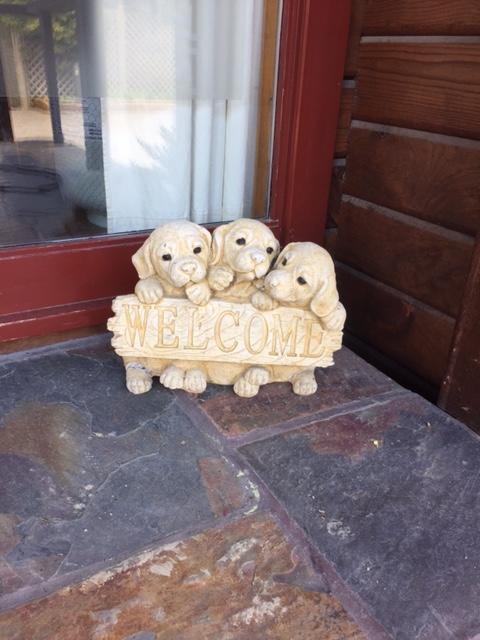 Travellers Retreat B&B Christchurch Esterno foto